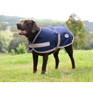Weatherbeeta ComFiTec Essential Hundedecke Marine / Silber / Rot Blau Weatherbeeta ComFiTec Essential Hundedecke Marine / Silber / Rot Blau
