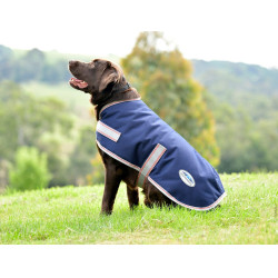 Weatherbeeta ComFiTec Essential Hundedecke Marine / Silber / Rot Blau