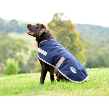 Weatherbeeta ComFiTec Essential Hundedecke Marine / Silber / Rot Blau Weatherbeeta ComFiTec Essential Hundedecke Marine / Silber / Rot Blau