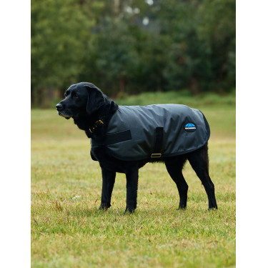 Wasserdichte Hundedecke WeatherBeeta ComFiTec Classic Holzkohle Grau Wasserdichte Hundedecke WeatherBeeta ComFiTec Classic Holzkohle Grau