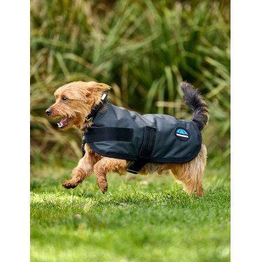 Wasserdichte Hundedecke WeatherBeeta ComFiTec Classic Holzkohle Grau Wasserdichte Hundedecke WeatherBeeta ComFiTec Classic Holzkohle Grau