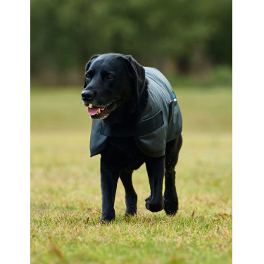 Wasserdichte Hundedecke WeatherBeeta ComFiTec Classic Holzkohle Grau Wasserdichte Hundedecke WeatherBeeta ComFiTec Classic Holzkohle Grau
