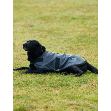 Wasserdichte Hundedecke WeatherBeeta ComFiTec Classic Holzkohle Grau Wasserdichte Hundedecke WeatherBeeta ComFiTec Classic Holzkohle Grau