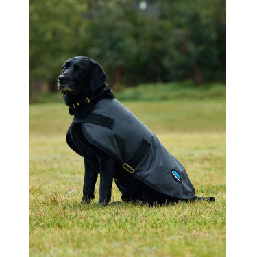 Wasserdichte Hundedecke WeatherBeeta ComFiTec Classic Holzkohle Grau Wasserdichte Hundedecke WeatherBeeta ComFiTec Classic Holzkohle Grau