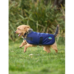 Wasserdichte Hundedecke WeatherBeeta ComFiTec Classic Marine Marineblau