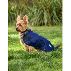 Wasserdichte Hundedecke WeatherBeeta ComFiTec Classic Marine Marineblau