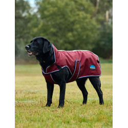 Weatherbeeta wasserdichte Hundedecke ComFiTec Premier Deluxe Burgund / Marine