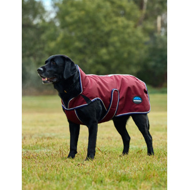 Weatherbeeta wasserdichte Hundedecke ComFiTec Premier Deluxe Burgund / Marine Weatherbeeta wasserdichte Hundedecke ComFiTec Premier Deluxe Burgund / Marine