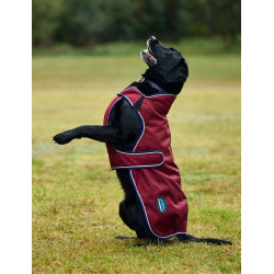 Weatherbeeta wasserdichte Hundedecke ComFiTec Premier Deluxe Burgund / Marine