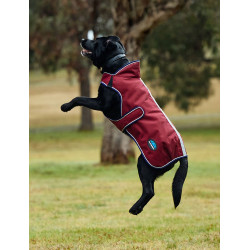 Weatherbeeta wasserdichte Hundedecke ComFiTec Premier Deluxe Burgund / Marine