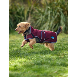 Weatherbeeta wasserdichte Hundedecke ComFiTec Premier Deluxe Burgund / Marine