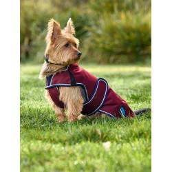 Weatherbeeta wasserdichte Hundedecke ComFiTec Premier Deluxe Burgund / Marine