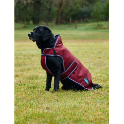 Weatherbeeta wasserdichte Hundedecke ComFiTec Premier Deluxe Burgund / Marine