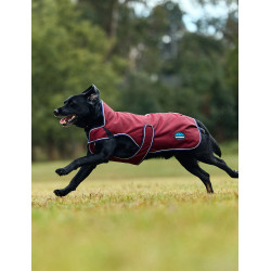 Weatherbeeta wasserdichte Hundedecke ComFiTec Premier Deluxe Burgund / Marine