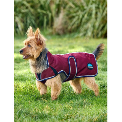 Weatherbeeta wasserdichte Hundedecke ComFiTec Premier Deluxe Burgund / Marine