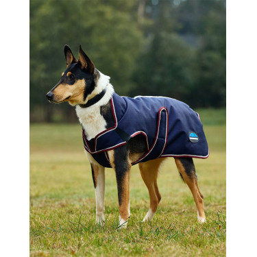 Weatherbeeta wasserdichte Hundedecke ComFiTec Premier Deluxe Marine / Burgunder