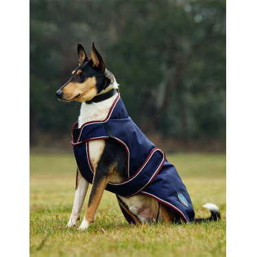 Weatherbeeta wasserdichte Hundedecke ComFiTec Premier Deluxe Marine / Burgunder