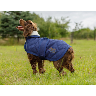 Weatherbeeta ComFiTec Deluxe Diamond Quilt Hundedecke Marine Marineblau Weatherbeeta ComFiTec Deluxe Diamond Quilt Hundedecke Marine Marineblau