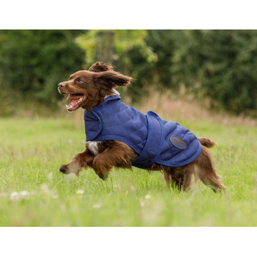 Weatherbeeta ComFiTec Deluxe Diamond Quilt Hundedecke Marine Marineblau Weatherbeeta ComFiTec Deluxe Diamond Quilt Hundedecke Marine Marineblau