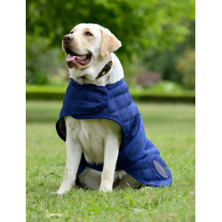 Weatherbeeta ComFiTec Deluxe Diamond Quilt Hundedecke Marine Marineblau Weatherbeeta ComFiTec Deluxe Diamond Quilt Hundedecke Marine Marineblau