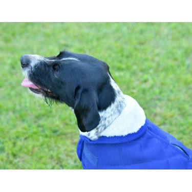 Weatherbeeta ComFiTec Deluxe Diamond Quilt Hundedecke Marine Marineblau Weatherbeeta ComFiTec Deluxe Diamond Quilt Hundedecke Marine Marineblau