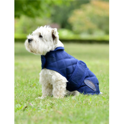 Weatherbeeta ComFiTec Deluxe Diamond Quilt Hundedecke Marine Marineblau Weatherbeeta ComFiTec Deluxe Diamond Quilt Hundedecke Marine Marineblau