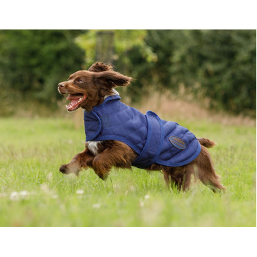 Weatherbeeta ComFiTec Deluxe Diamond Quilt Hundedecke Marine Marineblau Weatherbeeta ComFiTec Deluxe Diamond Quilt Hundedecke Marine Marineblau