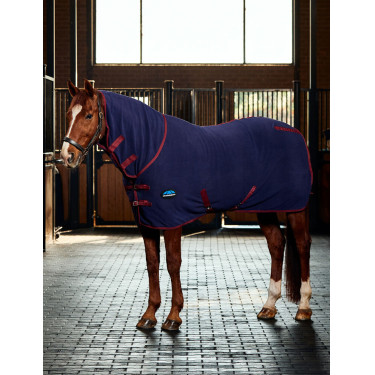 Weatherbeeta antistatische Fleece-Combo-Abschwitzdecke Marine / Burgunder Weatherbeeta antistatische Fleece-Combo-Abschwitzdecke Marine / Burgunder