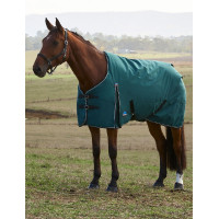 Weatherbeeta ComFiTec Classic Turnout-Decke 220 g Waldgrün / Schwarz Gr&uuml;n