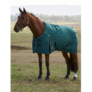 Weatherbeeta ComFiTec Classic Turnout-Decke 220 g Waldgrün / Schwarz Grün Weatherbeeta ComFiTec Classic Turnout-Decke 220 g Waldgrün / Schwarz Grün
