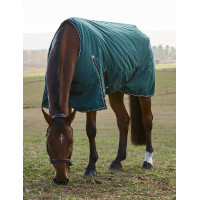 Weatherbeeta ComFiTec Classic Turnout-Decke 220 g Waldgrün / Schwarz Grün Weatherbeeta ComFiTec Classic Turnout-Decke 220 g Waldgrün / Schwarz Grün