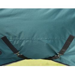 Weatherbeeta ComFiTec Classic Turnout-Decke 220 g Waldgrün / Schwarz Grün Weatherbeeta ComFiTec Classic Turnout-Decke 220 g Waldgrün / Schwarz Grün