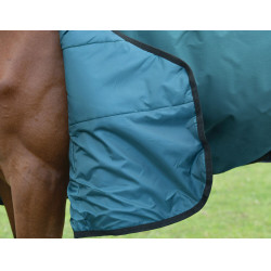 Weatherbeeta ComFiTec Classic Turnout-Decke 220 g Waldgrün / Schwarz Grün Weatherbeeta ComFiTec Classic Turnout-Decke 220 g Waldgrün / Schwarz Grün