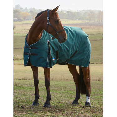 Weatherbeeta ComFiTec Classic Turnout-Decke 220 g Waldgrün / Schwarz Grün Weatherbeeta ComFiTec Classic Turnout-Decke 220 g Waldgrün / Schwarz Grün