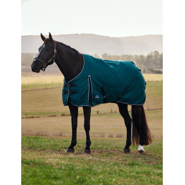 Weatherbeeta ComFiTec Classic Weidedecke 50 g Waldgrün / Schwarz Grün Weatherbeeta ComFiTec Classic Weidedecke 50 g Waldgrün / Schwarz Grün