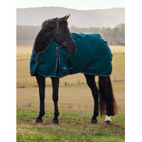 Weatherbeeta ComFiTec Classic Weidedecke 50 g Waldgrün / Schwarz Grün Weatherbeeta ComFiTec Classic Weidedecke 50 g Waldgrün / Schwarz Grün