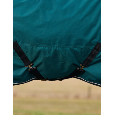 Weatherbeeta ComFiTec Classic Weidedecke 50 g Waldgrün / Schwarz Grün Weatherbeeta ComFiTec Classic Weidedecke 50 g Waldgrün / Schwarz Grün