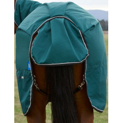 new Waldgrün / Schwarz Grün new Waldgrün / Schwarz Grün