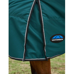 new Waldgrün / Schwarz Grün new Waldgrün / Schwarz Grün