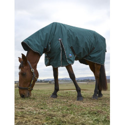 new Waldgrün / Schwarz Grün new Waldgrün / Schwarz Grün