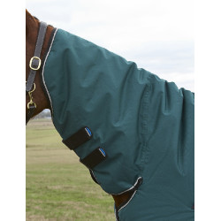 new Waldgrün / Schwarz Grün new Waldgrün / Schwarz Grün