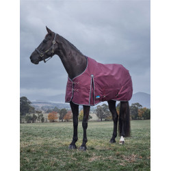 new Burgund / Marine