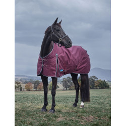 new Burgund / Marine