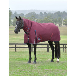 new Burgund / Marine