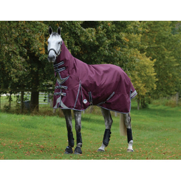 Decke WeatherBeeta ComFiTec Plus Dynamic II Combo mit Halsteil Medium Bordeaux / Grau / Weiß Decke WeatherBeeta ComFiTec Plus Dynamic II Combo mit Halsteil Medium Bordeaux / Grau / Weiß