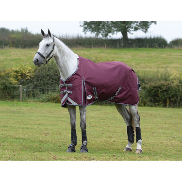 Weatherbeeta ComFiTec Plus Dynamic II Medium / Lite Decke Bordeaux / Grau / Weiß Weatherbeeta ComFiTec Plus Dynamic II Medium / Lite Decke Bordeaux / Grau / Weiß