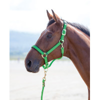 Nylonhalfter Topaz Shires Grün Gr&amp;amp;amp;amp;amp;amp;amp;amp;uuml;n