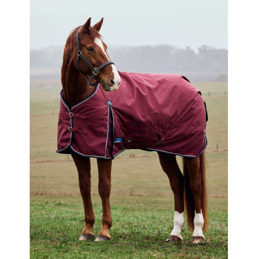 Weatherbeeta ComFiTec Prelim Turnout 220 g Decke Burgund / Marine Weatherbeeta ComFiTec Prelim Turnout 220 g Decke Burgund / Marine