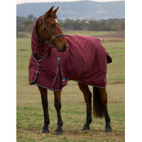 Weatherbeeta ComFiTec Prelim Turnout Combo 220 g Decke Burgund / Marine Weatherbeeta ComFiTec Prelim Turnout Combo 220 g Decke Burgund / Marine