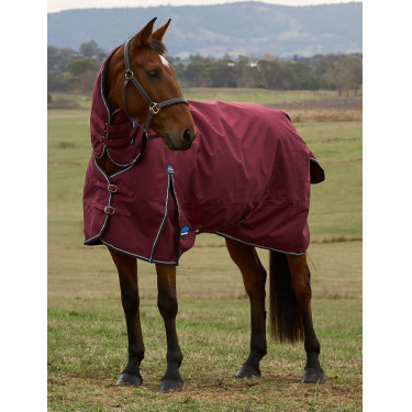 Weatherbeeta ComFiTec Prelim Turnout Combo 220 g Decke Burgund / Marine Weatherbeeta ComFiTec Prelim Turnout Combo 220 g Decke Burgund / Marine